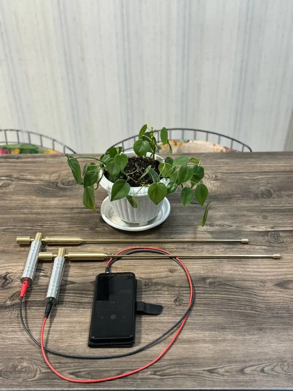 شاقول ردیاب|کلکسیون و سرگرمی|تهران, امام زاده حسن|دیوار