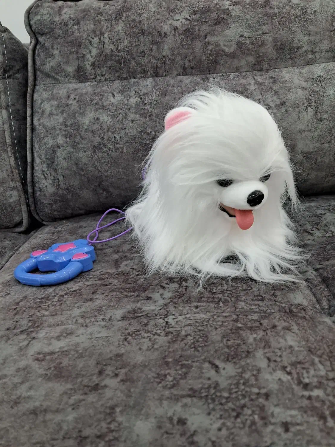 سگ.|اسباب‌‌بازی|قم, سعادتی|دیوار