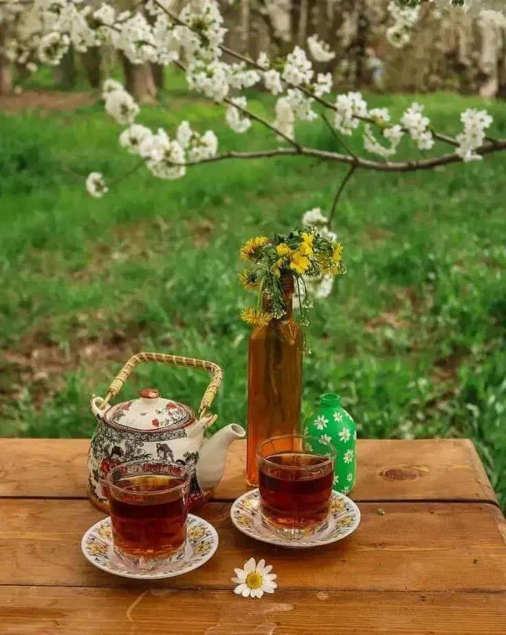 اجاره اتاق روزانه|اجارهٔ کوتاهمدت آپارتمان و سوئیت|تهران, هرندی|دیوار