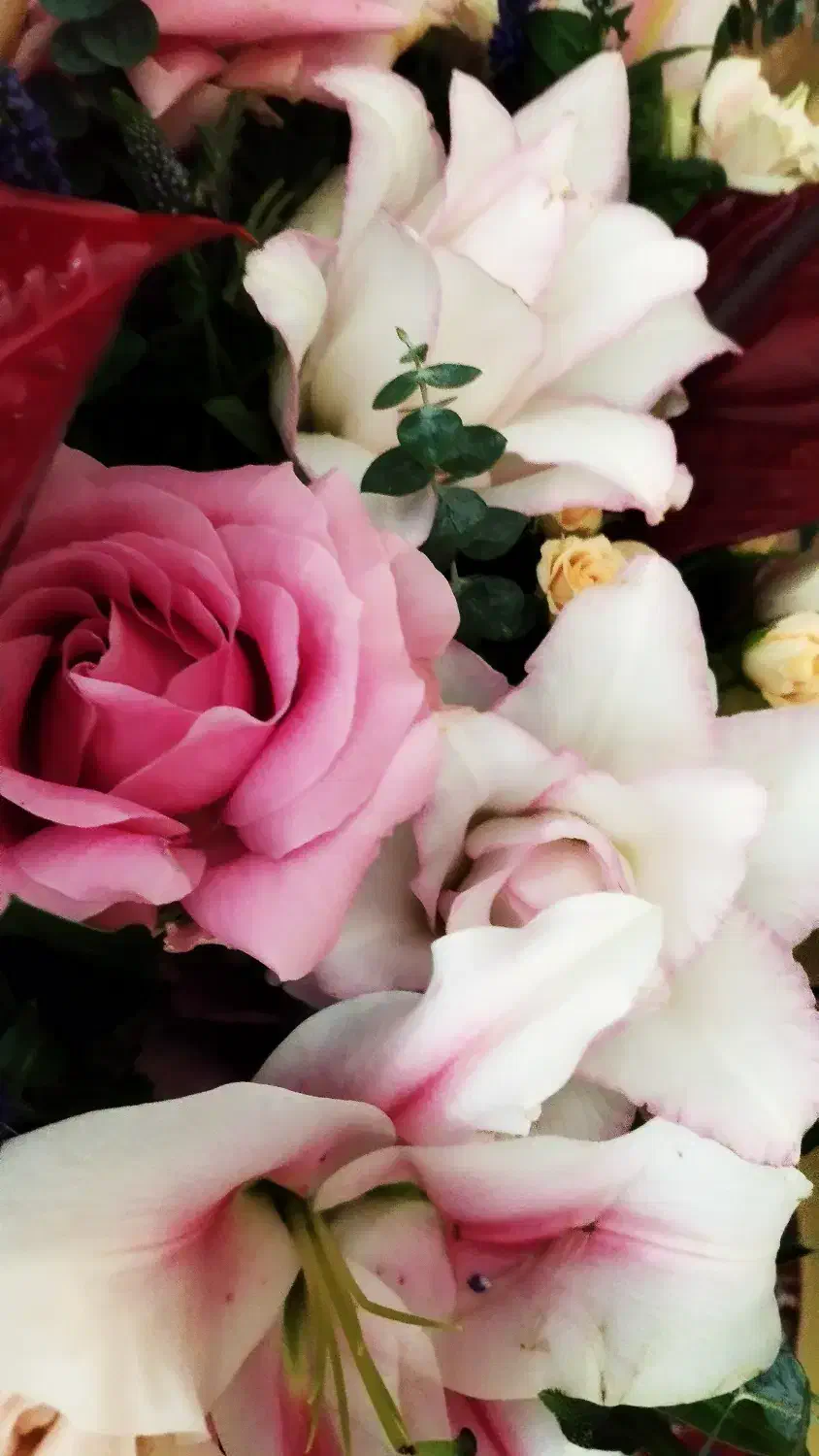 سبد گل|گل و گیاه طبیعی|تهران, شهرآرا|دیوار