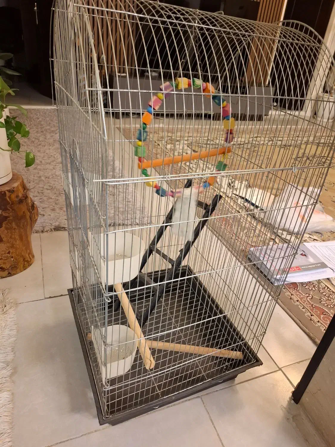 قفس پرنده 90cm×45cm|لوازم جانبی حیوانات|تهران, جوادیه تهرانپارس|دیوار