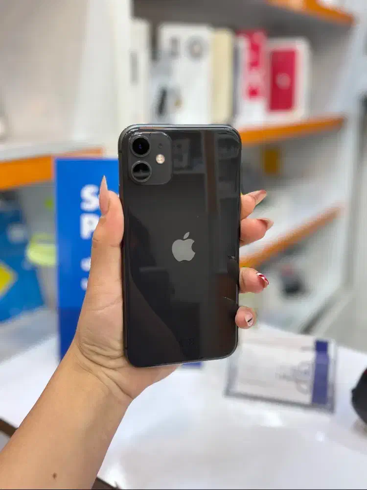 iphone 11 normal|موبایل|شیراز, ملاصدرا|دیوار