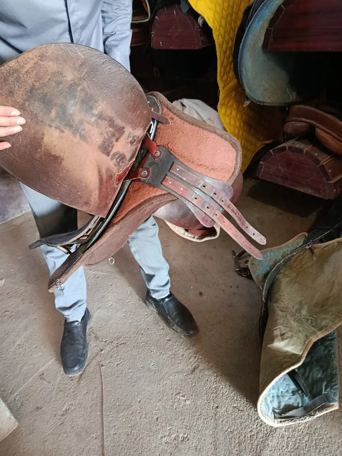 زین شیرازی|اسب و تجهیزات اسب‌سواری|کرمان, |دیوار