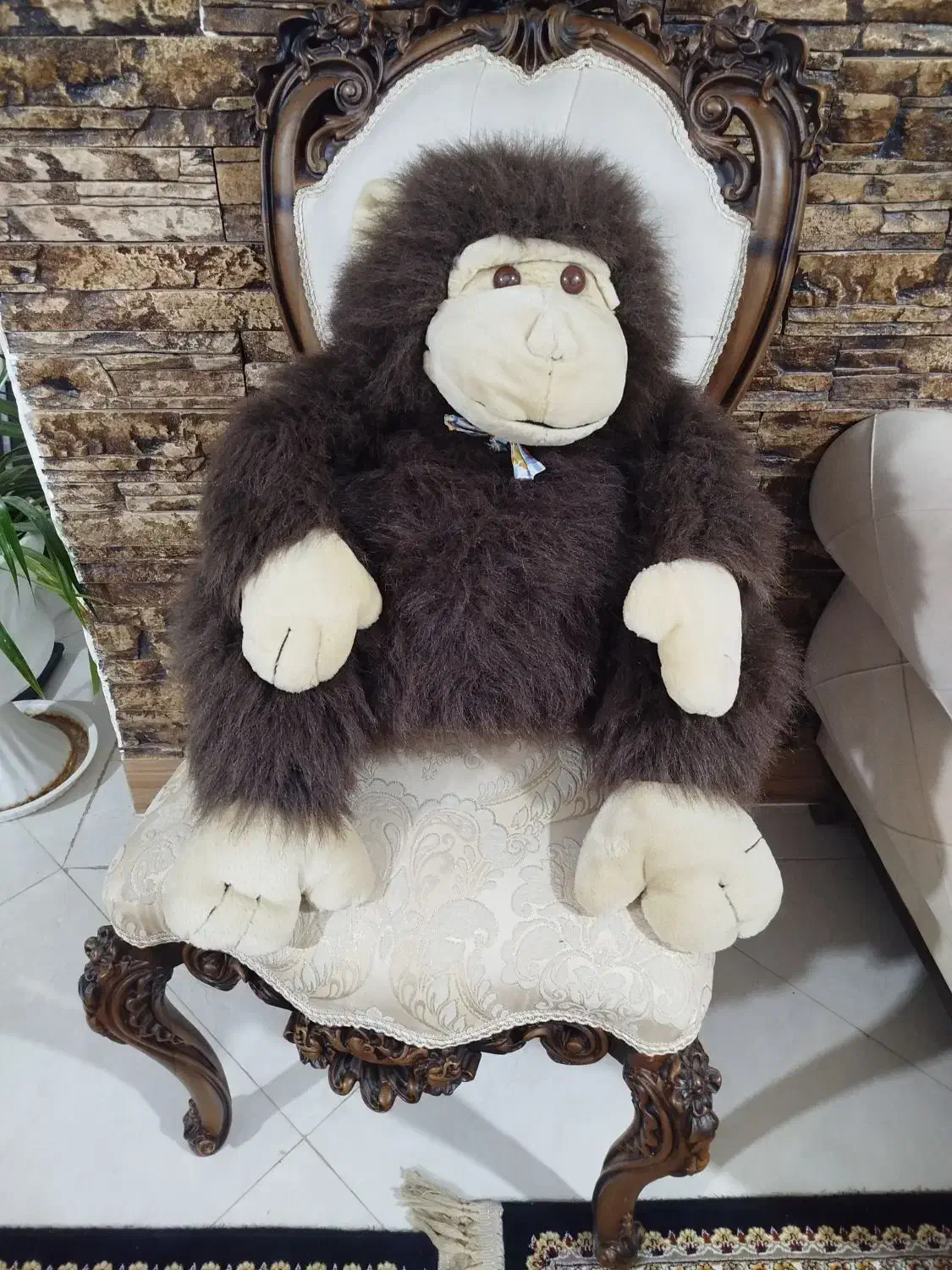 عروسک|اسباب‌‌بازی|مرودشت, ثبت احوال|دیوار