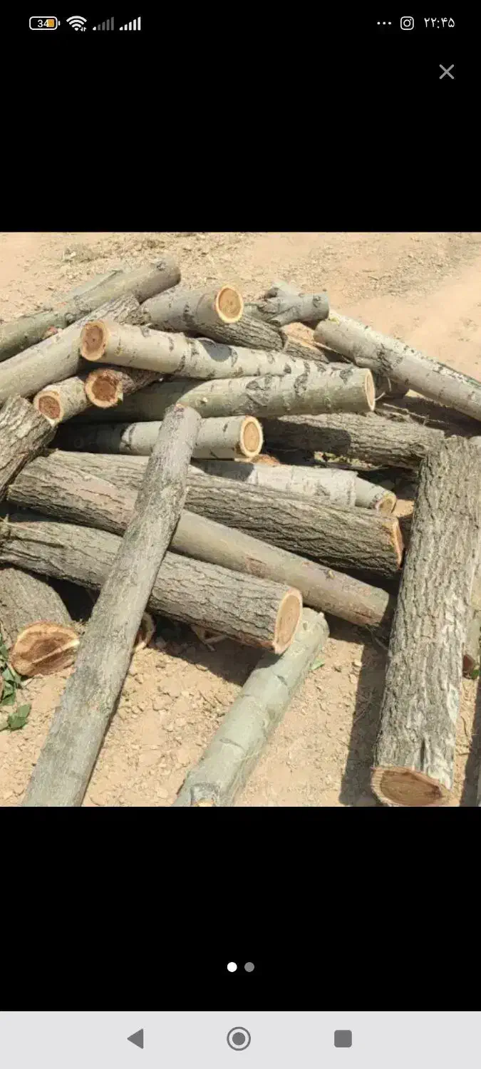 چوب بری|خدمات باغبانی و درختکاری|صوفیان, |دیوار