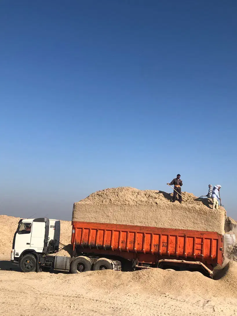 کاه نیشکر خشک مناسب دام بصرفه|حیوانات مزرعه|یاسوج, |دیوار