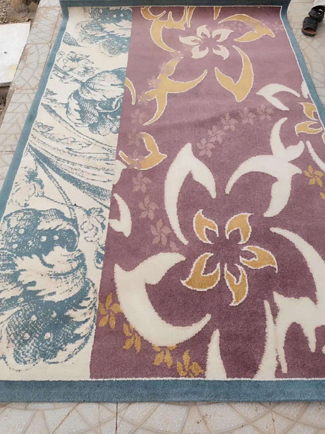 گلیم فرش|گلیم، جاجیم، گبه|بوئین زهرا, |دیوار