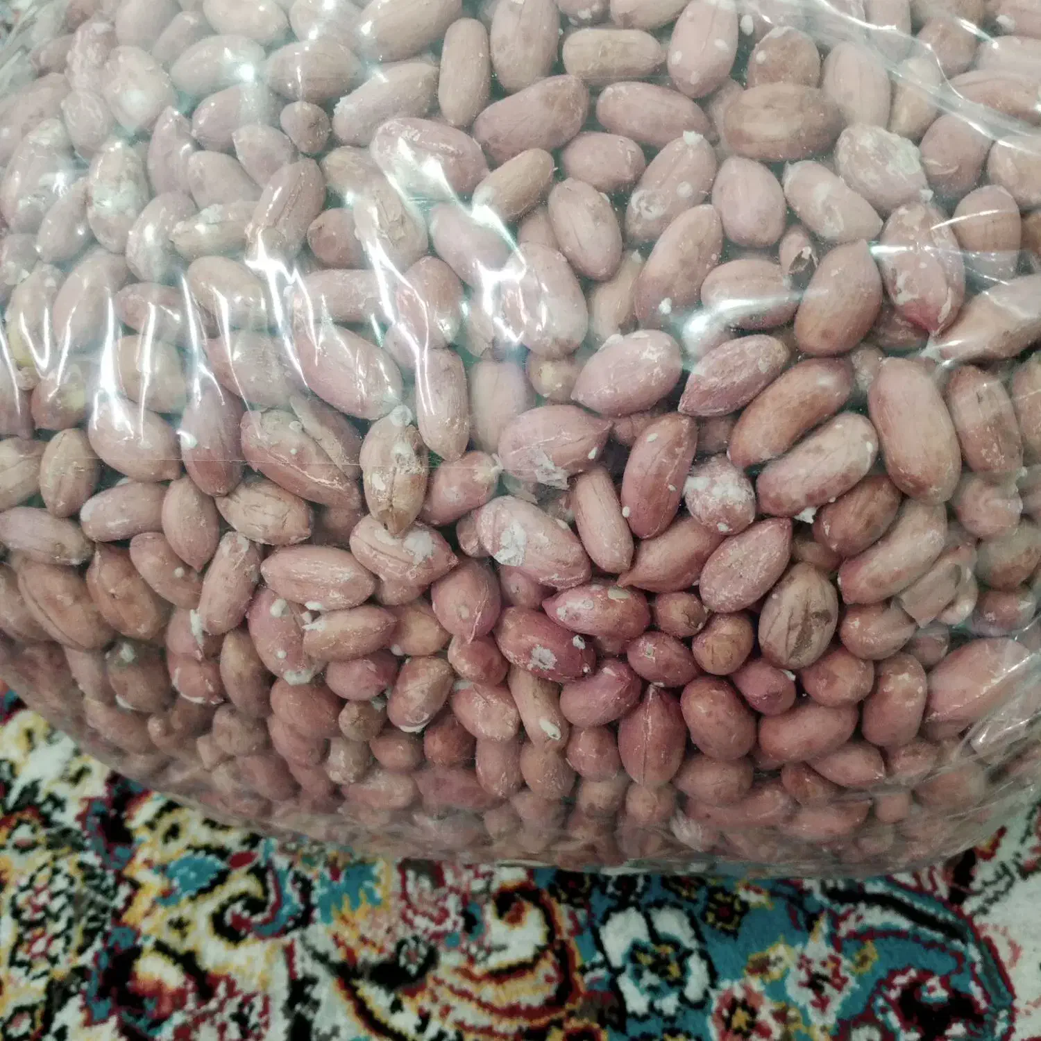 فروش بادام زمینی تازه دوآتشه عالی ۲۰۰|خوردنی و آشامیدنی|رشت, نیروی دریایی|دیوار