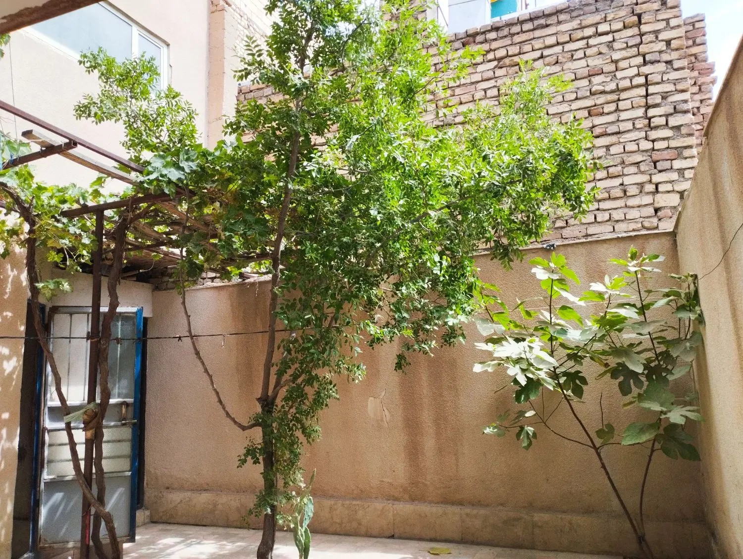 تصویر 2