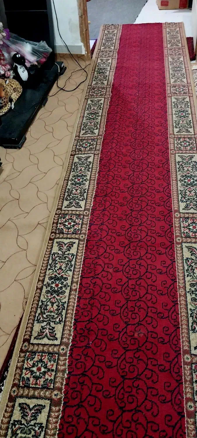 فرش قالی وموکت|فرش|گرگان, |دیوار