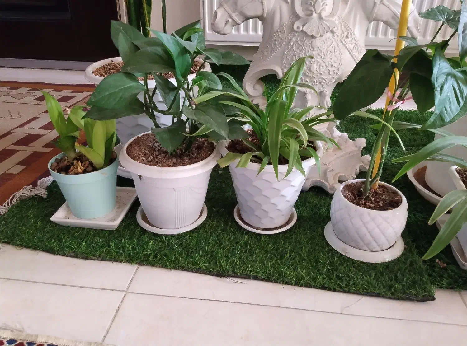 آپارتمانی|گل و گیاه طبیعی|شاهین‌شهر, شهرک میلاد|دیوار