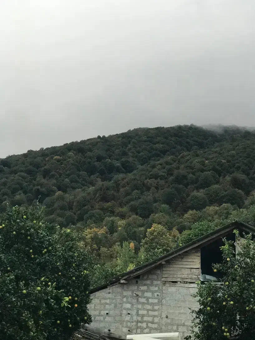 زمین داخل بافت،دو قطعه۲۵۰،سند۶دانگ،عباس آباد،گرداب|فروش زمین و ملک کلنگی|عباس‌آباد, |دیوار