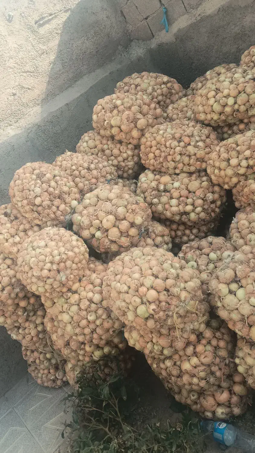 پباز درجه یک|خوردنی و آشامیدنی|شیروان (خراسان), |دیوار