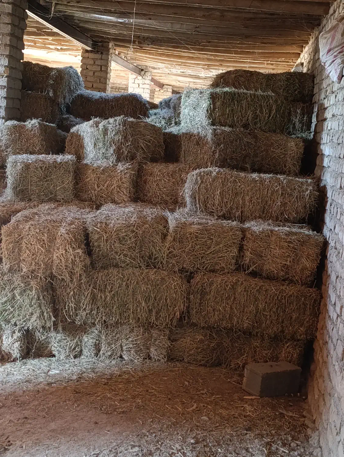 چهار تن پرس دیمه موجود است|لوازم جانبی حیوانات|شیروان (خراسان), |دیوار