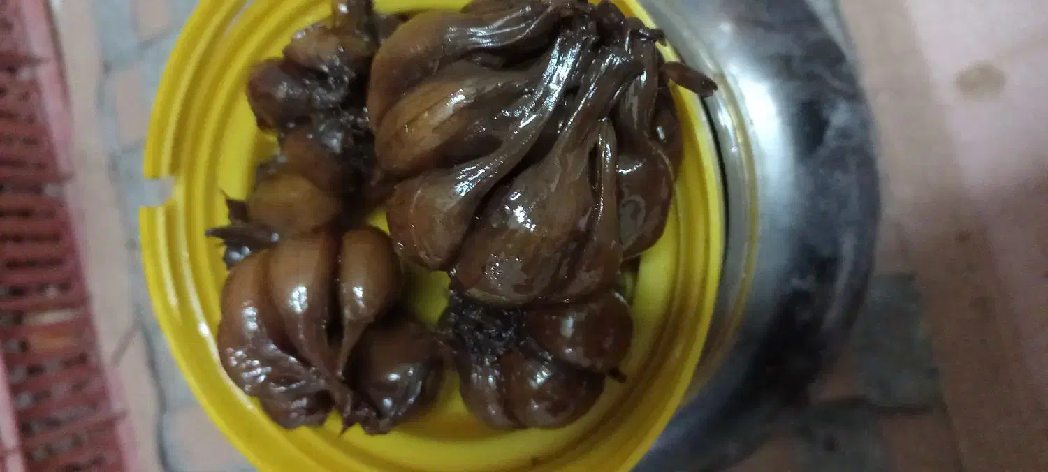 سیرترشی ۸ ساله|خوردنی و آشامیدنی|مزرعه کتول, |دیوار