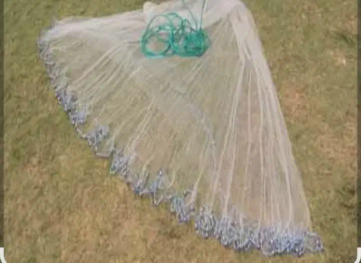 شبچه نخی|ماهیگیری|اهواز, کمپلو جنوبی|دیوار