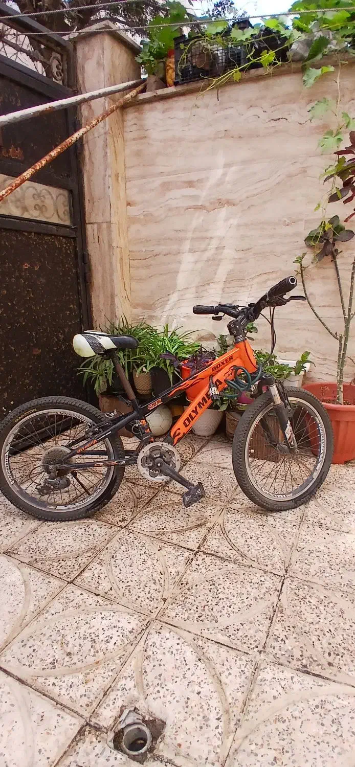 دوچرخه المپیا سایز ۲۰|دوچرخه، اسکیت، اسکوتر|چهاردانگه (تهران), |دیوار