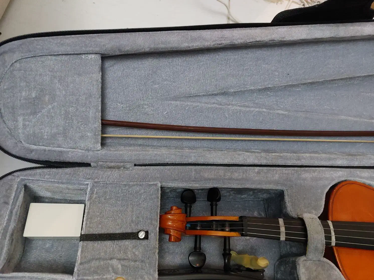 ویولن tf|ویولن|فردیس, منظریه|دیوار