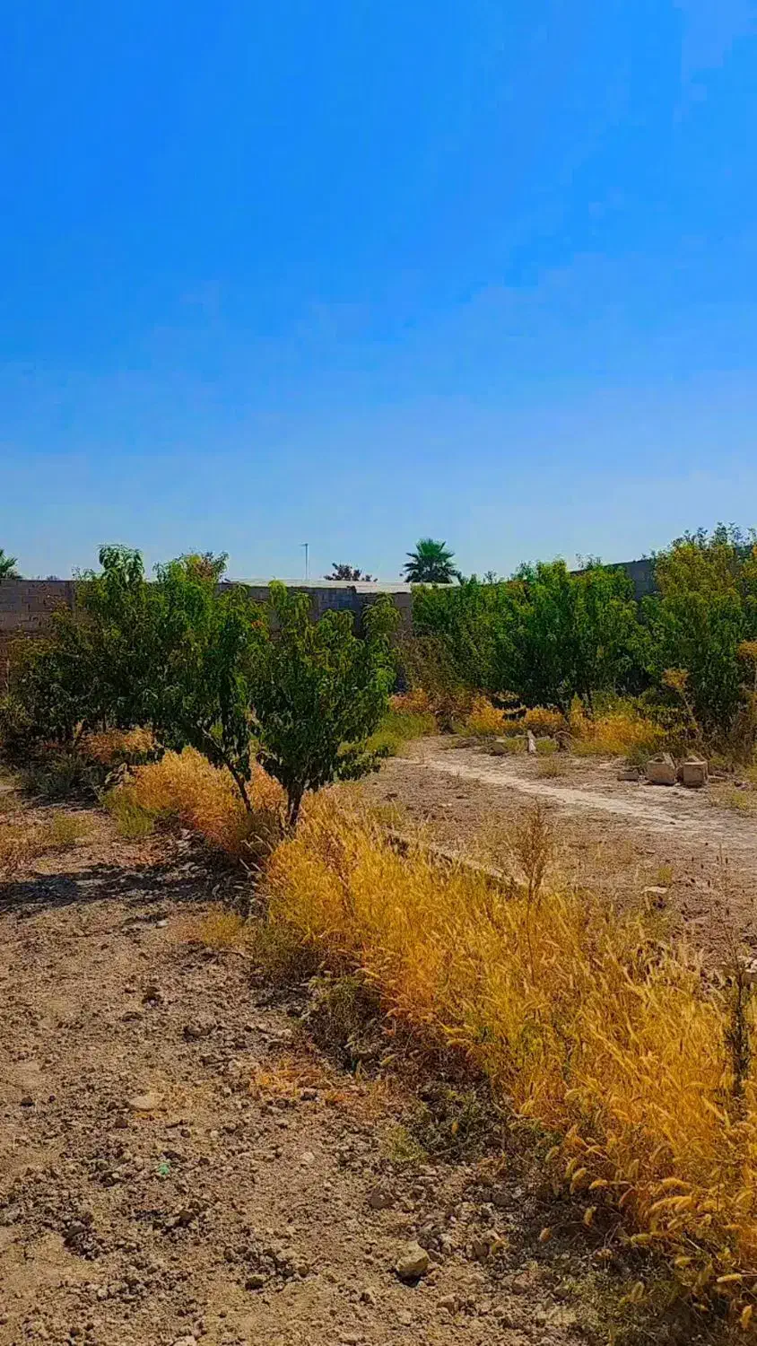 چهاردیواری300متری/شهریار/دهشاد/میدان نماز/نسیم شهر|فروش خانه و ویلا|شهریار, دهشاد بالا|دیوار