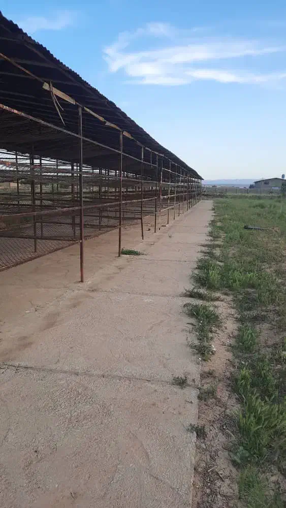 مشارکت در پرورش قارچ خوراکی و گیاهان و ماهی|خدمات باغبانی و درختکاری|تاکستان, |دیوار