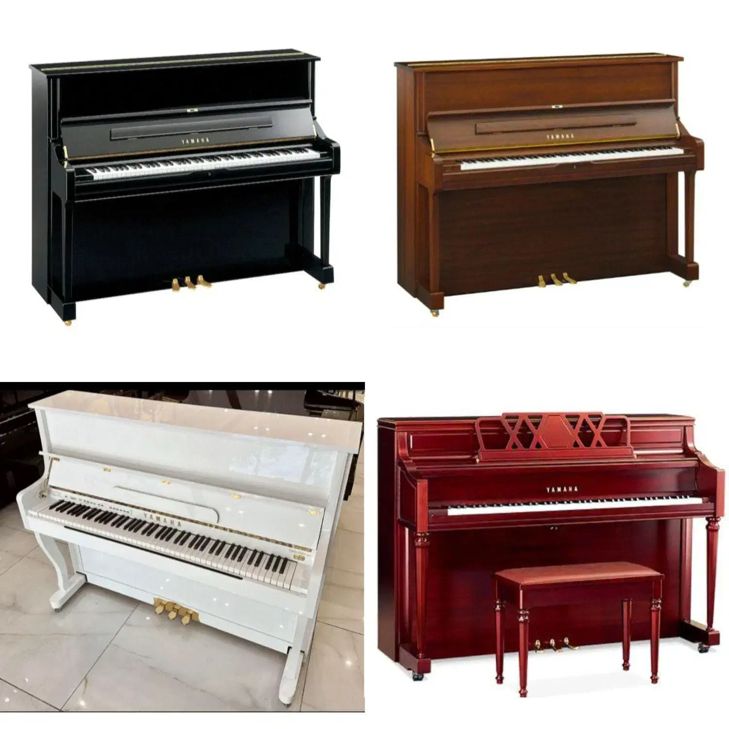 پیا)*نو لند (حافظیه)|پیانو، کیبورد، آکاردئون|شیراز, سیلو|دیوار