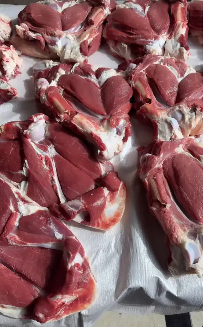 تقلی شیشک گوسفند زنده بره چاق تهران|حیوانات مزرعه|تهران, شهرک آزمایش|دیوار