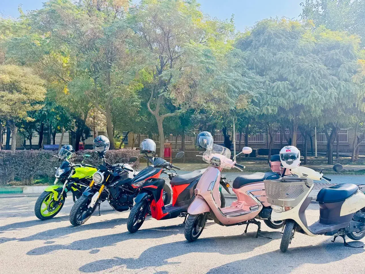 راید بانوان موتورسوار مشهدی|گردهمایی و همایش|مشهد, الهیه|دیوار