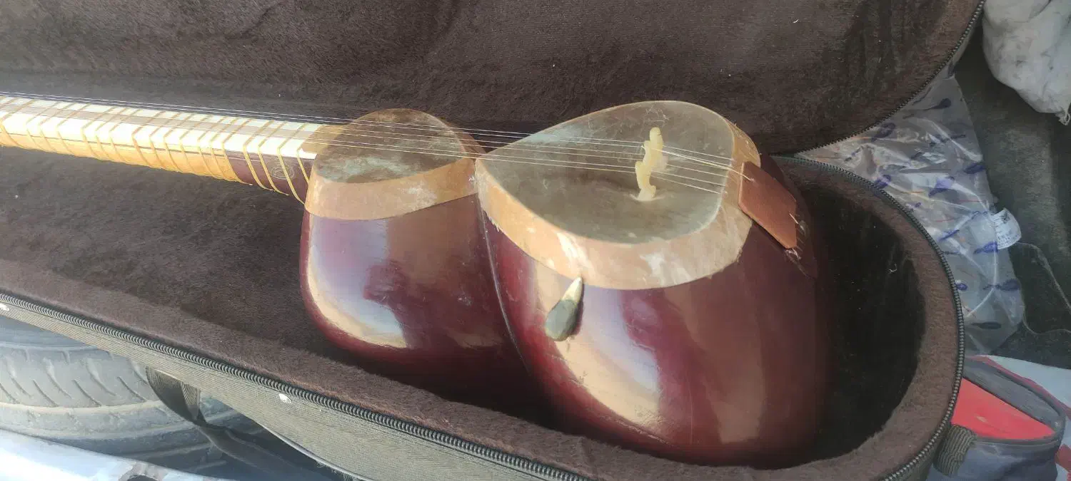 تار دومهر مهیار نوروزی|سازهای سنتی|اصفهان, ناصرخسرو|دیوار