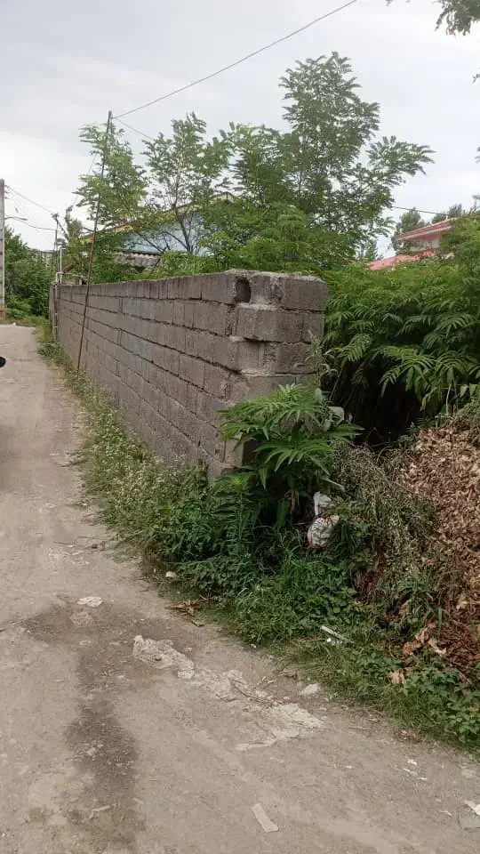 فروش فوری زمین ۲۰۰ متری تالش ( ترشابر )|فروش زمین و ملک کلنگی|تالش, هشتپر|دیوار