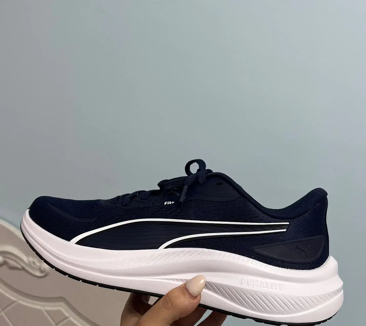 کتونی اورجینال نو|کیف، کفش، کمربند|بهشهر, |دیوار