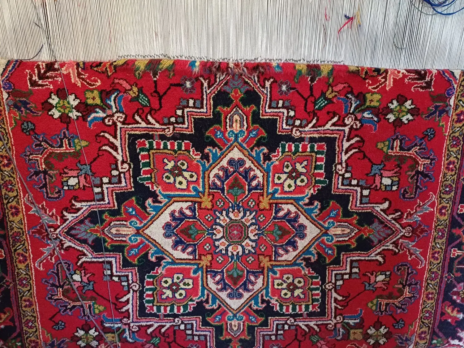 فرش دست هریس با رنگبندی جذاب|فرش|هریس, |دیوار