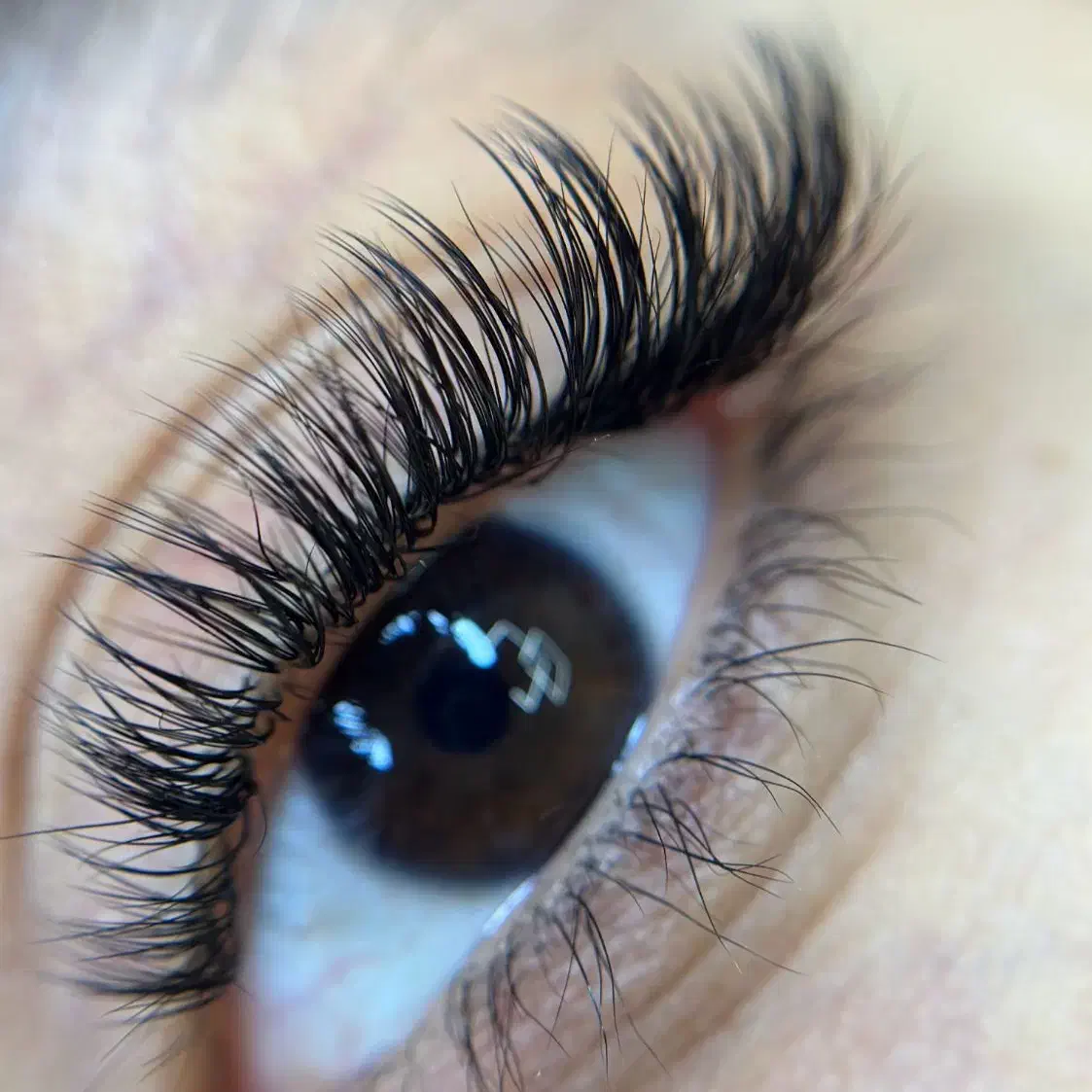 نیازمند مدل اکستنشن مژه فقط با هزینه مواد|خدمات آرایشگری و زیبایی|شیراز, شهرک ولیعصر|دیوار