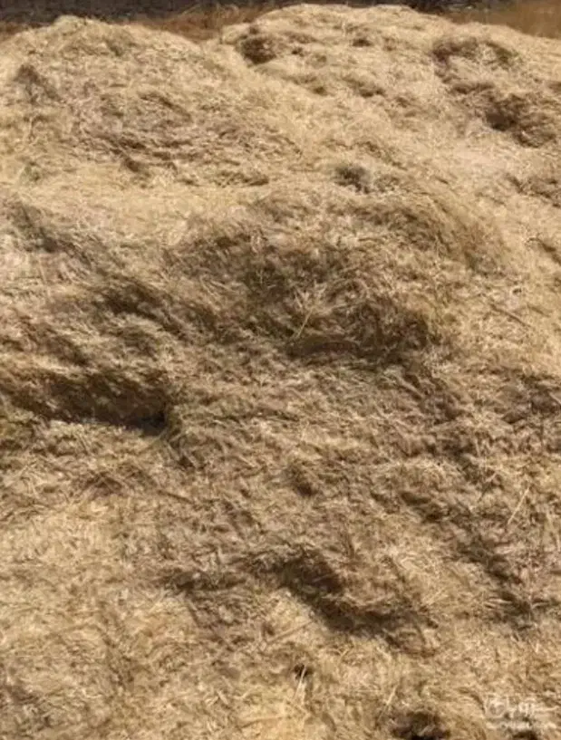 فروش کاه گندم درجه یک|لوازم جانبی حیوانات|دره شهر, |دیوار