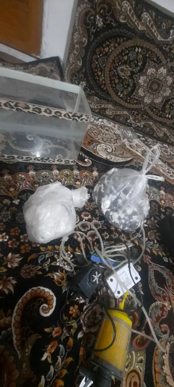 آکواریوم شیشه خم با لوازم|ماهی|اقبالیه, |دیوار