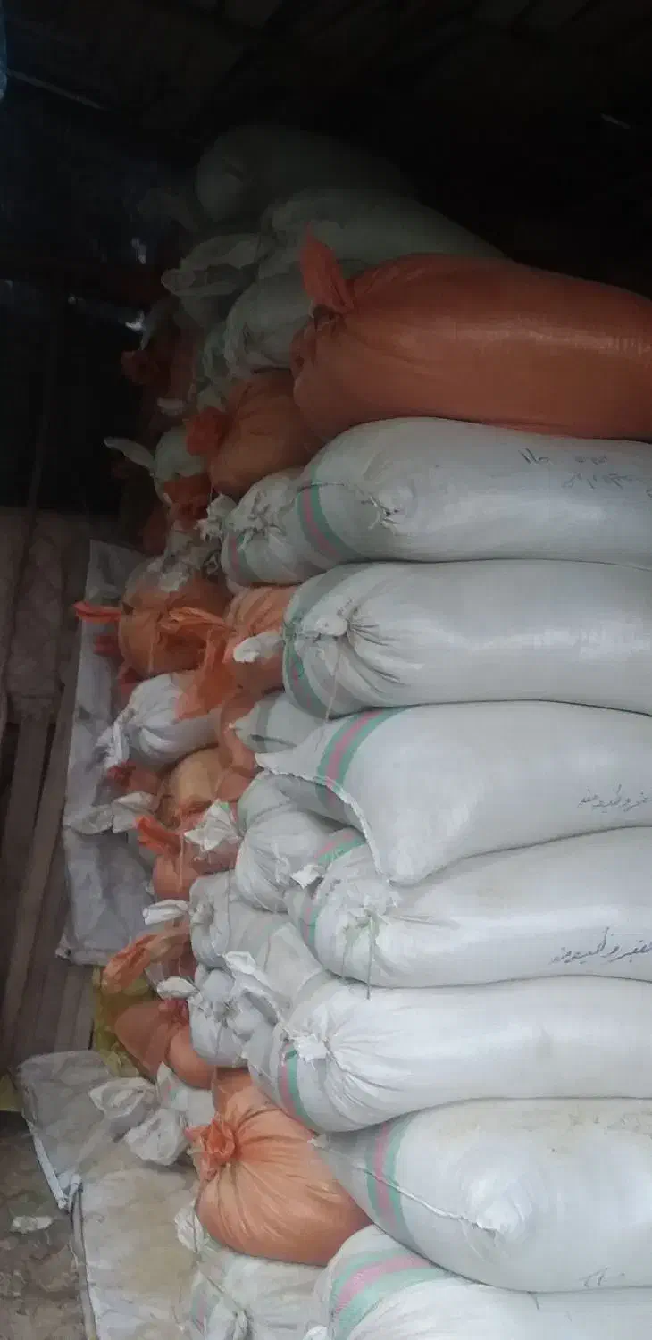 سلام سبوس برنج یا آکوته دانه دار محصول امسال هست|لوازم جانبی حیوانات|رودبنه, |دیوار