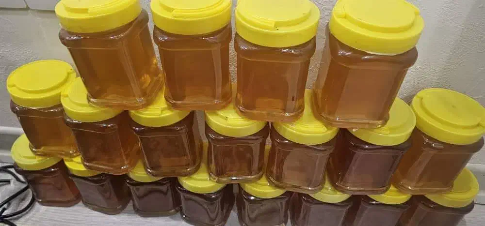 فروش عسل مرغوب درمانی کردستان|عمده‌فروشی|بندر ماهشهر, |دیوار