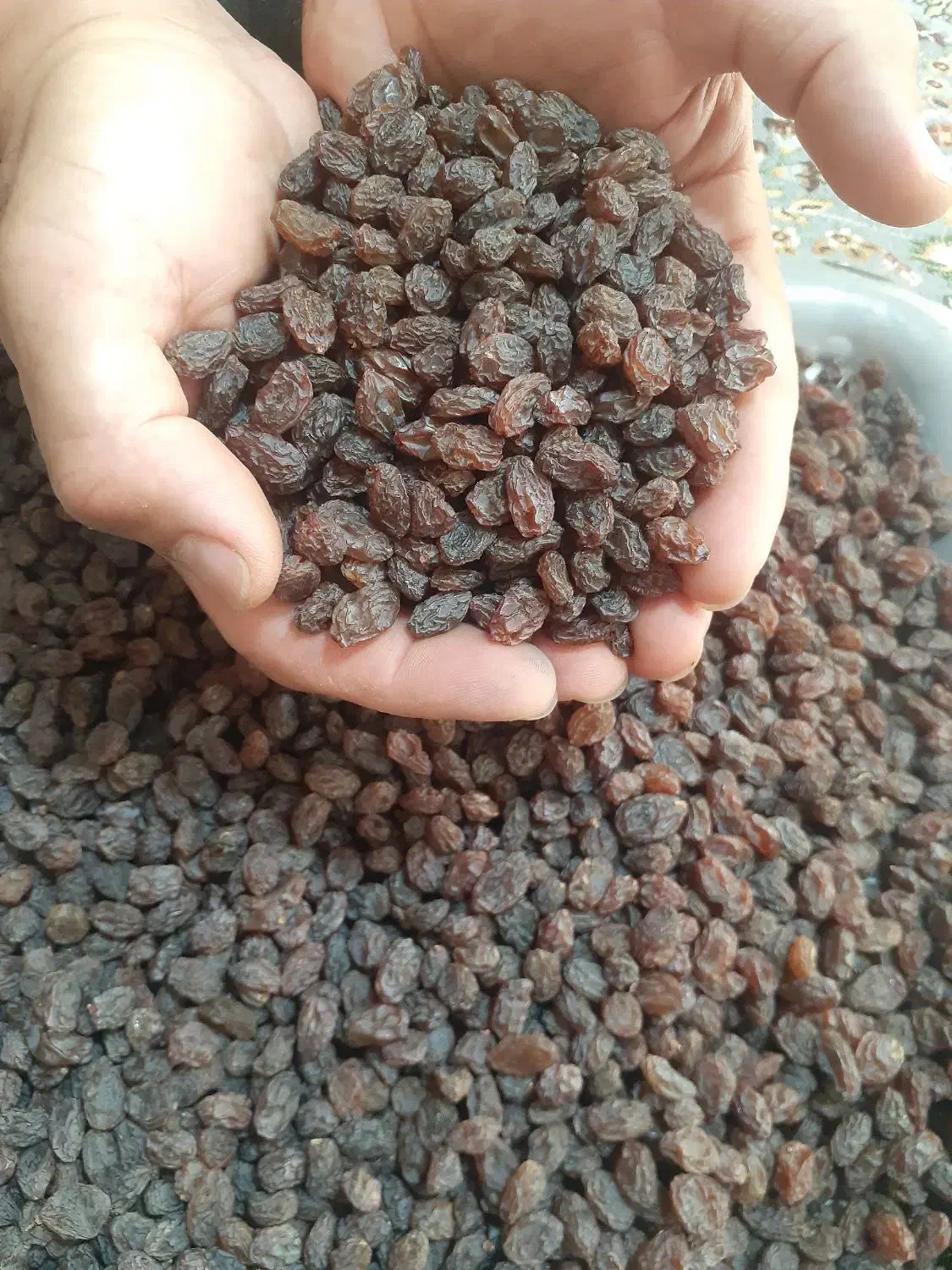 کشمش آفتابی درجه یک اعلا|خوردنی و آشامیدنی|تاکستان, |دیوار