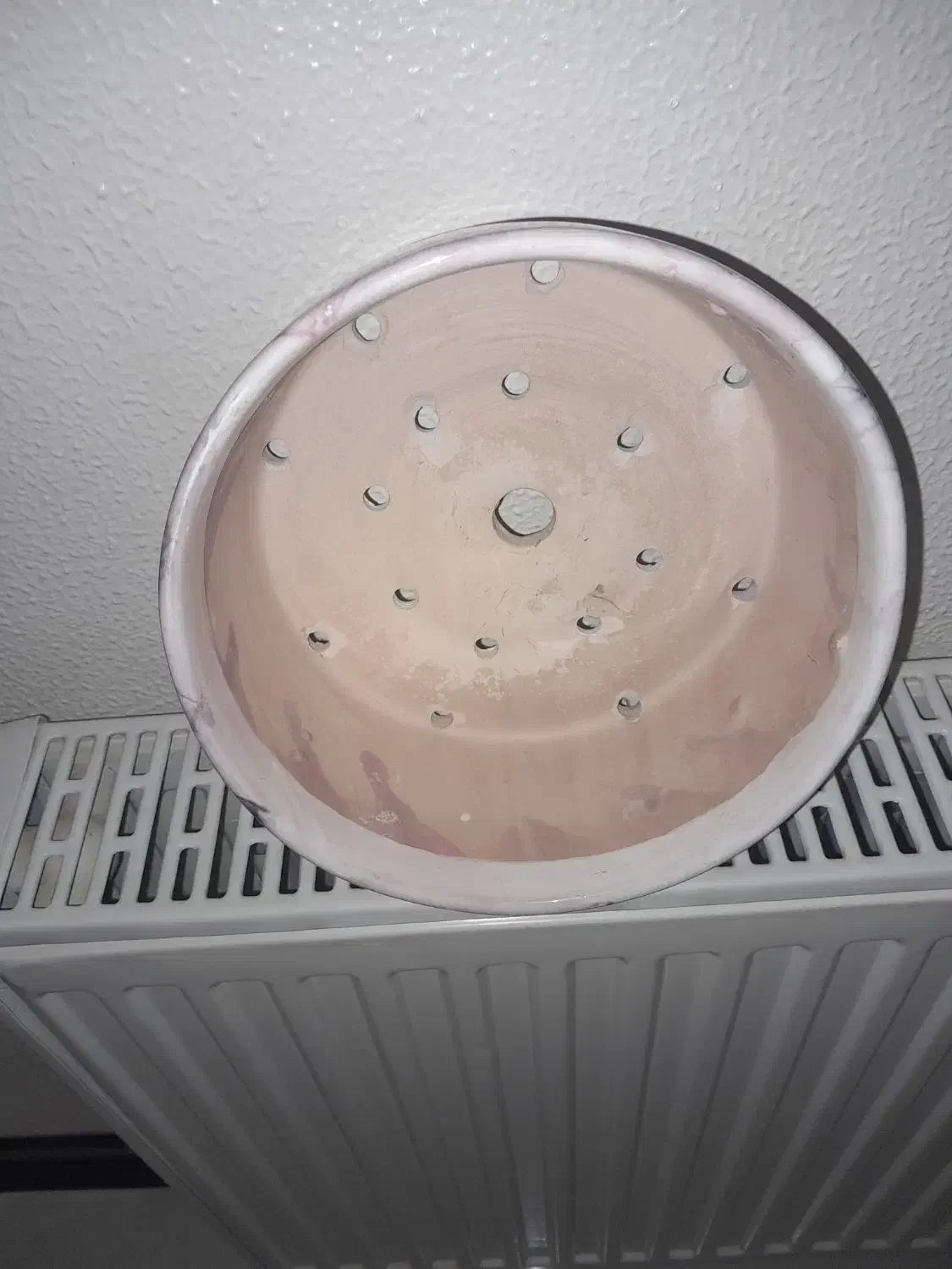 گلدان سفال|گل و گیاه طبیعی|شاهین‌شهر, شهرک گلدیس|دیوار