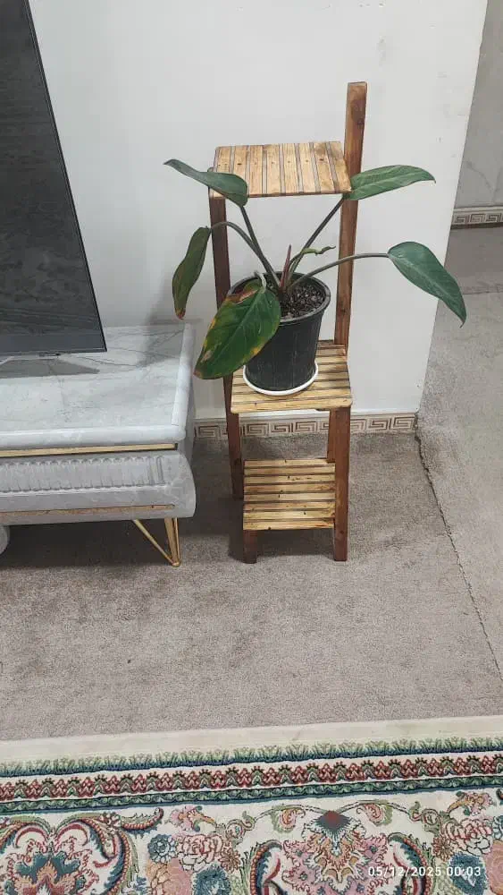 انواع استندبرای گل میناب|صنایع دستی و سایر لوازم تزئینی|میناب, |دیوار