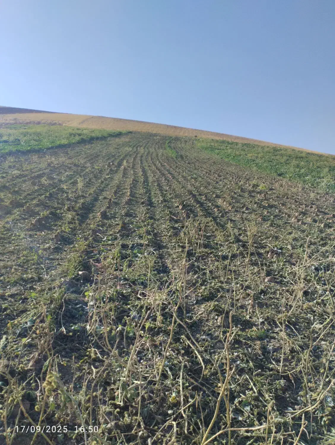 زمین کشاورزی|فروش دفتر صنعتی، کشاورزی، تجاری|الشتر, |دیوار