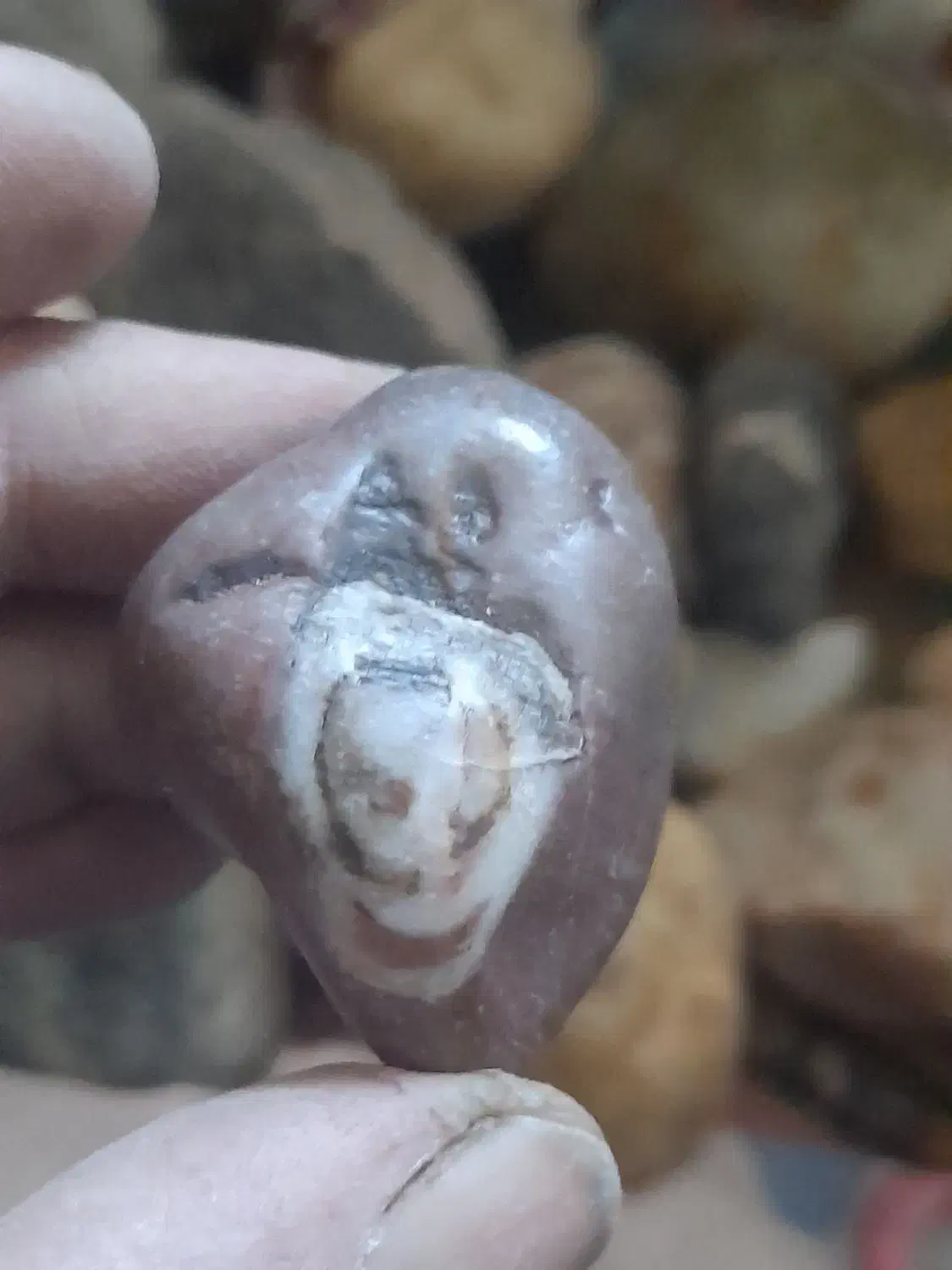 بهترین سنگهای نایاب|کلکسیون اشیاء عتیقه|اهر, |دیوار