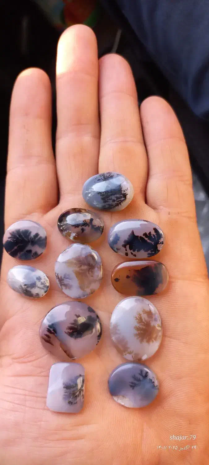 نگین شجر|جواهرات|اقبالیه, |دیوار