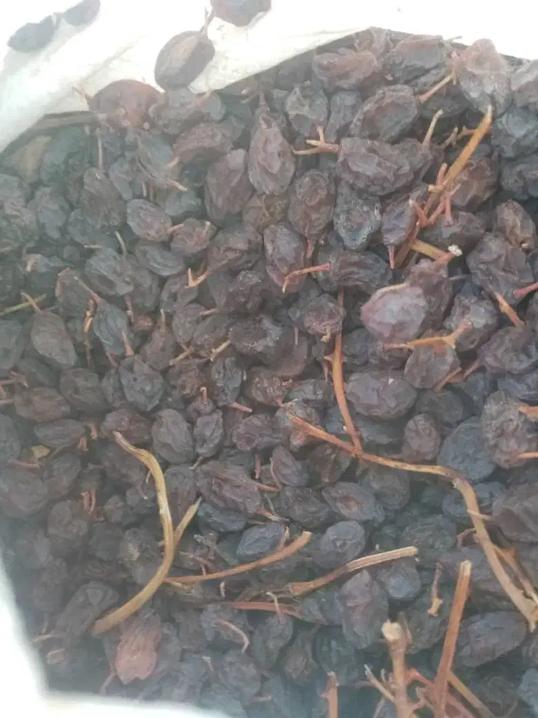 مویزدشمن زیاری...|خوردنی و آشامیدنی|ارژن, |دیوار