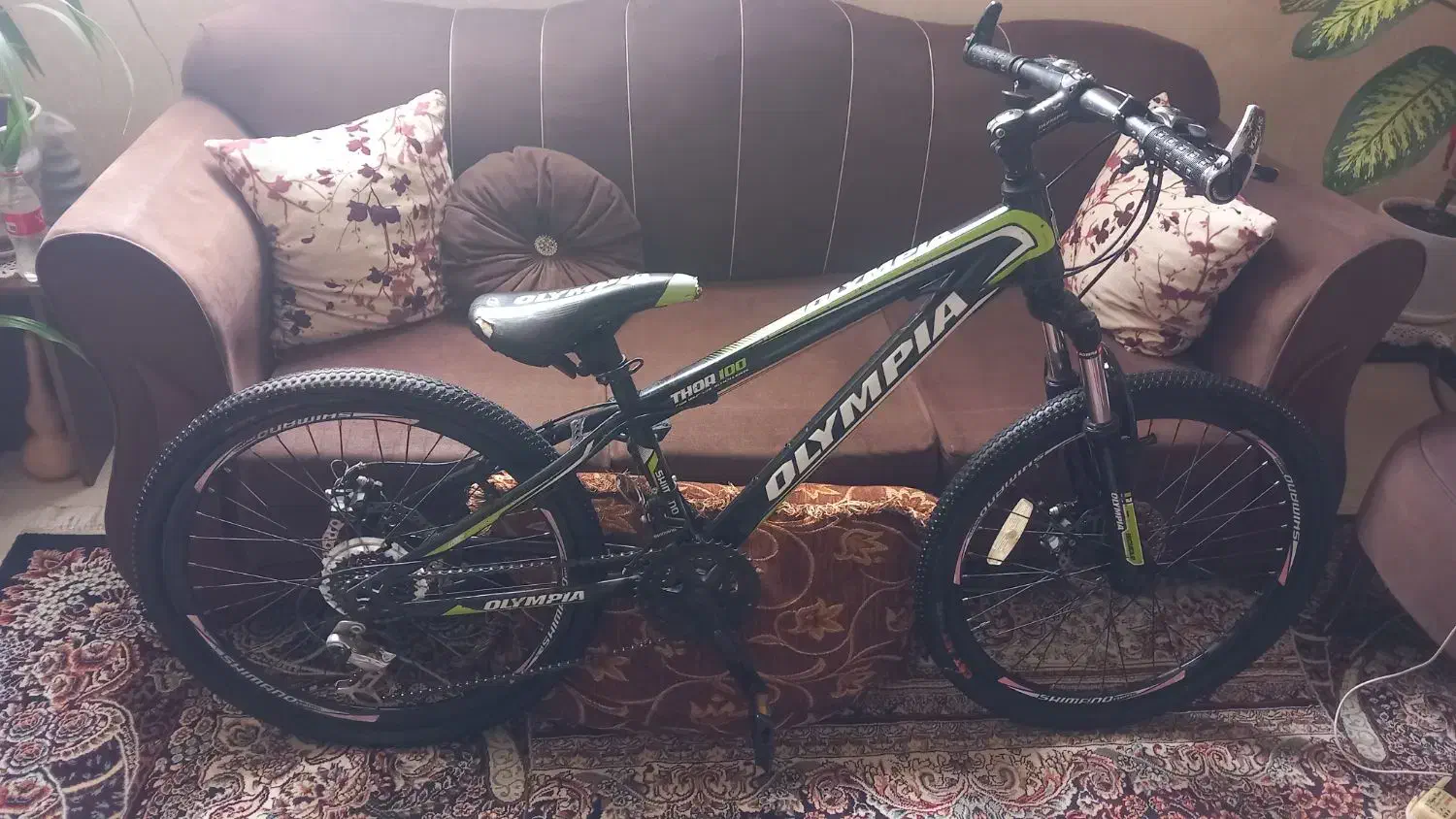 دوچرخه 24|دوچرخه، اسکیت، اسکوتر|زرقان, |دیوار