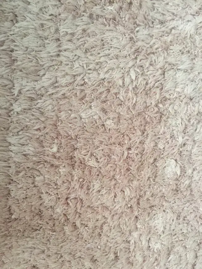 فرش اتاق خواب|فرش|قزوین, |دیوار