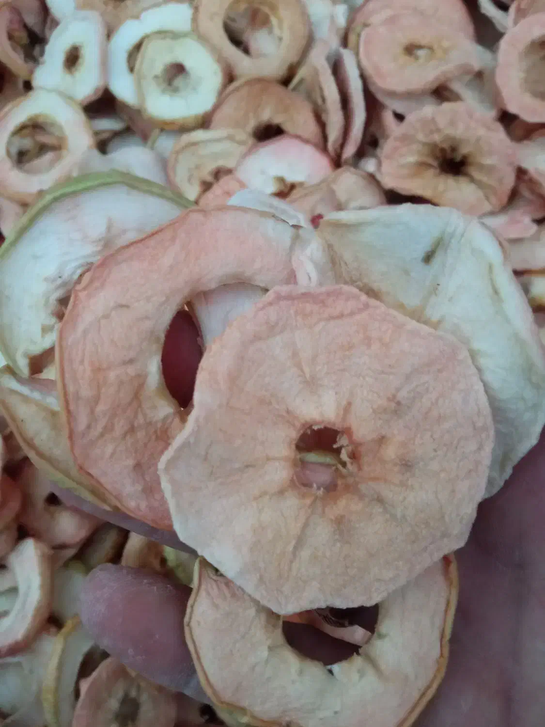 گوجه خشک و سیب خشک|خوردنی و آشامیدنی|ملکان, |دیوار