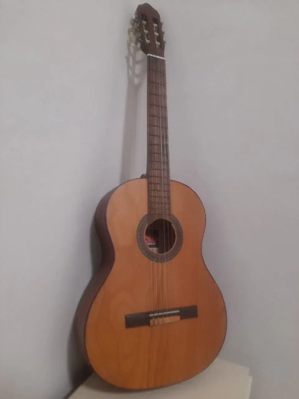 گیتار رویال|گیتار، بیس، امپلیفایر|چوبر, |دیوار