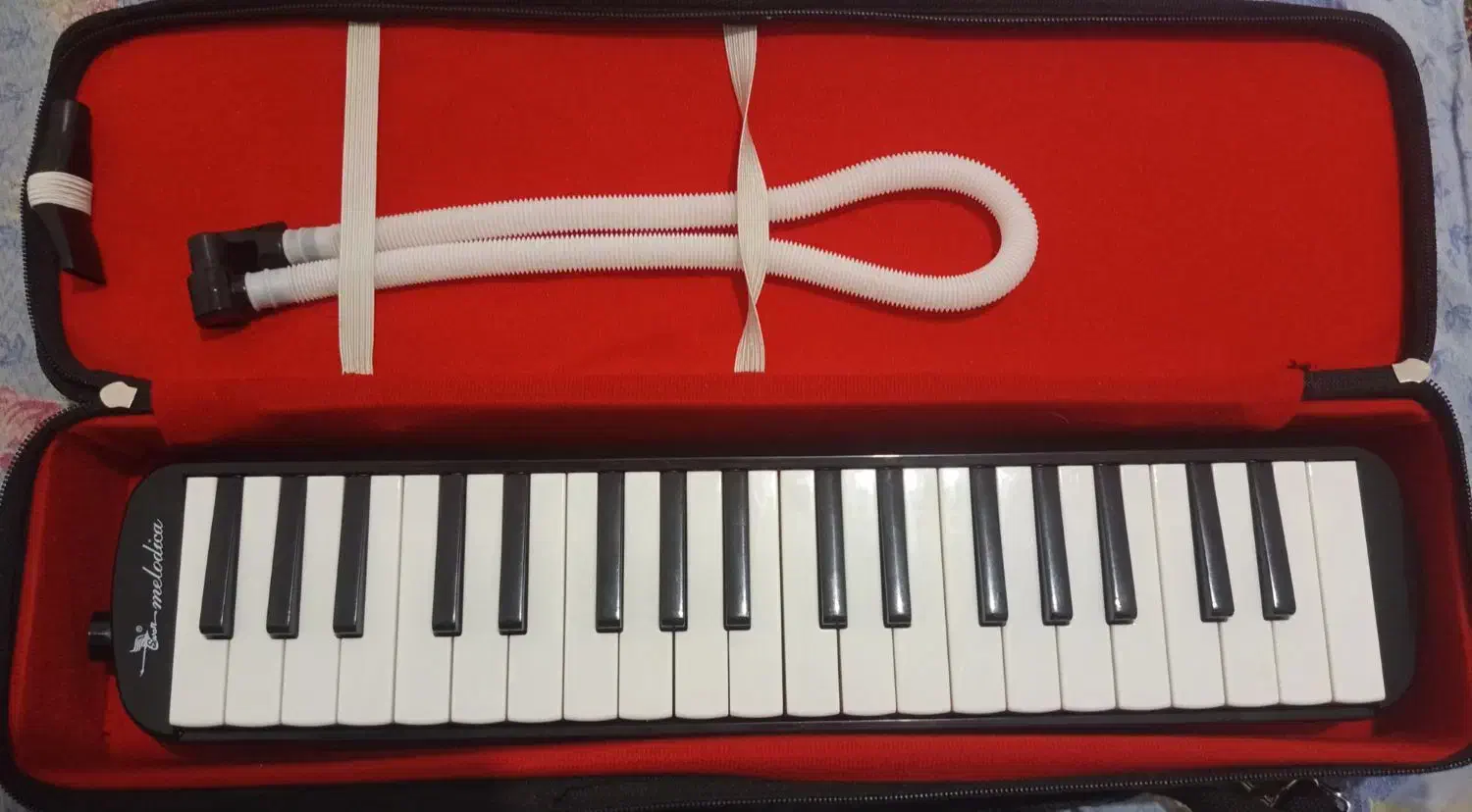 ساز ملودیکا سوان37کلید|پیانو، کیبورد، آکاردئون|سرچهان, |دیوار