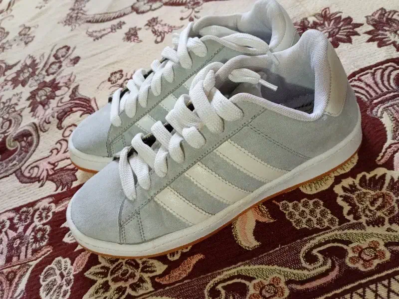 کفش|کیف، کفش، کمربند|مشهد, خواجه ربیع|دیوار