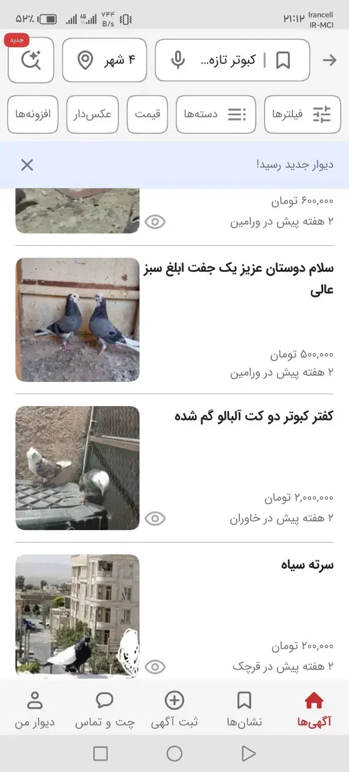 کبوتر سبز، دم سفید گم شده طالب|حیوانات|قرچک, میرزائی شمالی|دیوار